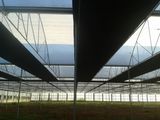 Inside Blackout Net in Double Layer