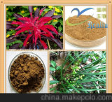 Hok Tong Grass Extract as Sexual Enhancement Supplement