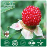 Natural Raspberry Ketone 98%