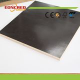 Film Faced Plywood / Laminated Plywood / Formwork Plywood / Marine Plywood