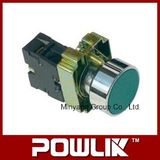 High Quality Flat Head Metal Pushbutton Switch (Xb2-Ba31)