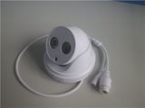 Low Voltage IR-Cut Real-Time Capture Shopping Center Megapixel IP Camera