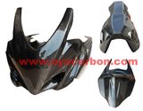 Motorcycle Carbon Fiber Part