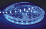 LED SMD Light Outline Decoration (LDR-5050B60D-10MM-12V)