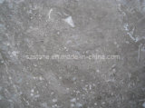 Polished Slab Marble of Tundra Gray Marble