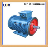 Water Pump AC Electric Motor