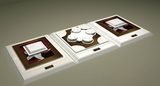Pop Jewelry Trays