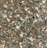 Chinese Various Color and Cheap G648 Granite Jalore