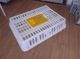 Poultry Transport Crate for Sale