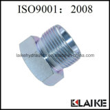 Carbon Steel Pipe Fitting Male Pipe Plug Pipe Fitting 4D