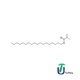 Tertiarybutyl Methacrylate