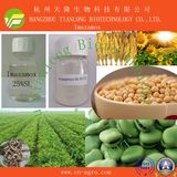 Price Preferential Herbicide Imazamox (95%TC, 40g/l SL, 120g/l SL)