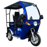 110cc Handicapped Tricycle with Glass Cover (DTR-12B)