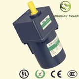 10W~40W / 60W ~ 180W Small Electric AC Induction Motor