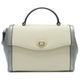 Fashion Satchel Bag Lady Handbag Brand Designer Handbag (YH142-B3266)