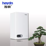 Wall Hung Gas Boiler