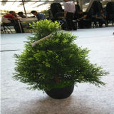 Artificial Tree Cedar Bonsai Plant with China Wholesale Price for Home Decoration
