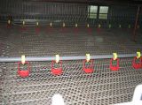 Hot Galvanized Mesh Automatic Broiler Chicken Cage