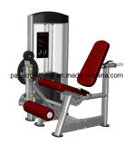 Leg Extension Commercial Fitness/Gym Equipment with SGS