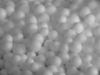EPS Raw Material