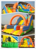 Outdoor Large Commercial Inflatable Slide