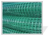 Welded Wire Mesh