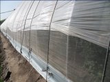 Farm Insect Netting