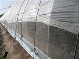 Farm Insect Netting