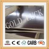 Brown Film Faced Plywood /Marine Plywood/ Shuttering Plywood