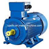Y2 Series 160kw-4poles Three Phase Electric Motor (CE approved)