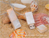 OEM Copy-Protection Jade USB Disk (FD-178)