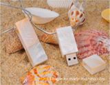 OEM Copy-Protection Jade USB Disk (FD-178)