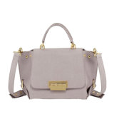 Brand New Luxury Women Leather Handbag Shoulder Bag Satchel Tote Purse (HD25-067)