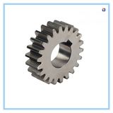 Industrial Large Diameter Spur Gear