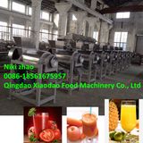 Fruit Juicer Machine/Spiral Juicer Machine