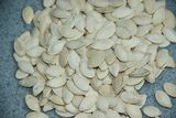 New Crop Shine Skin Pumpkin Seeds