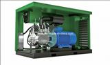 110kw Variable Frequency Oil-Free Screw Air Compressor for Textile Industry