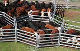 Hot! ! ! Galvanized Livestock Horse Panel/Sheep Panel/Cattle Panels