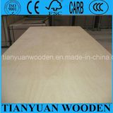 Furniture Grade Birch Plywood/Commercial Plywood