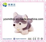 Lovely Husky Plush Stuffed Toy for Sale