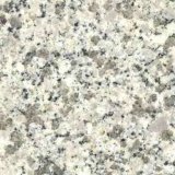 Tongan Grain Granite for Floor & Wall G655 Stone