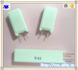Wirewound Ceramic Resistor for PCB (RGG)
