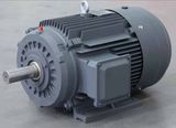 Ie3 Iron High Efficiency AC Motor1HP 0.75kw 2p