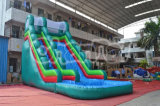 Large Inflatable Water Slide with Pool Chsl506
