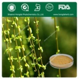 White Willow Bark Extract 30% Salici