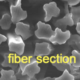 Anit-Bacterial Permanent Nano Silver AG Ions Inside Fiber