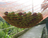 House Garden Product Olive Netting