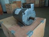 NEMA Standard Asynchronous Electric Motor