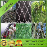 Anti Bird Protection Net for Sale From Manufacturer
