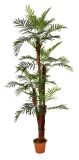Artificial Plants and Flowers of Small Palm 203cm Gu-Bj-764-35-4b